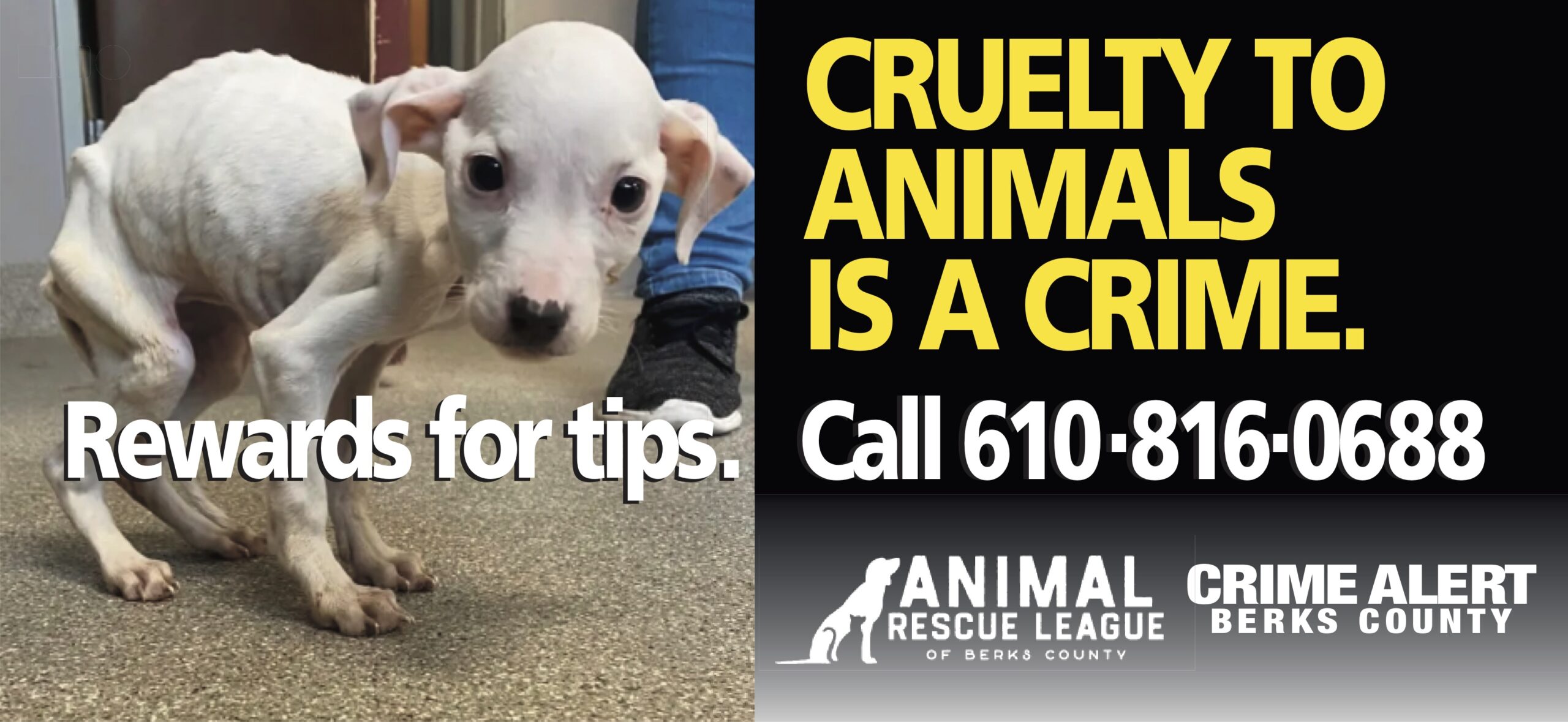 Crime Alert Pets graphic